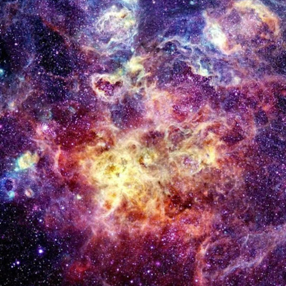 Meet your Posher, Caleb - Picture 1 of 1